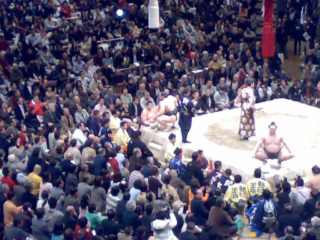 Lifeblog posted image